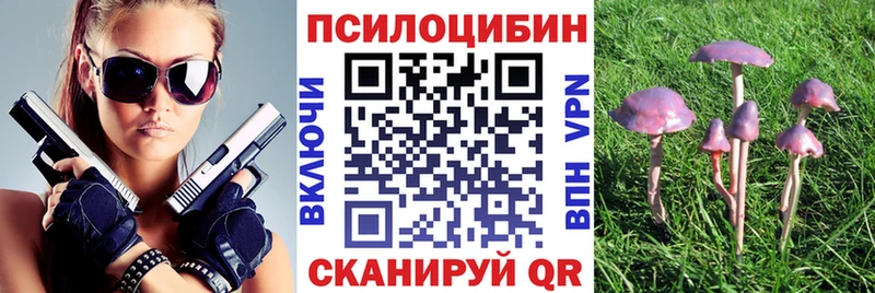 Псилоцибиновые грибы Psilocybe  Волжский 
